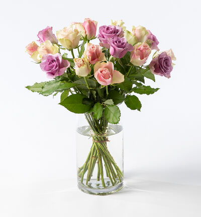 15 Fairtrade roser i rosa og lilla